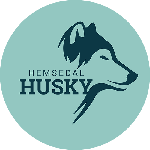 Hemsedal Husky
